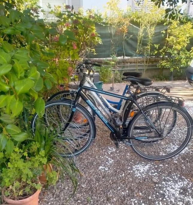 Just Outside The Wall: Free A/C, Bikes And Wifi Лука Екстериор снимка